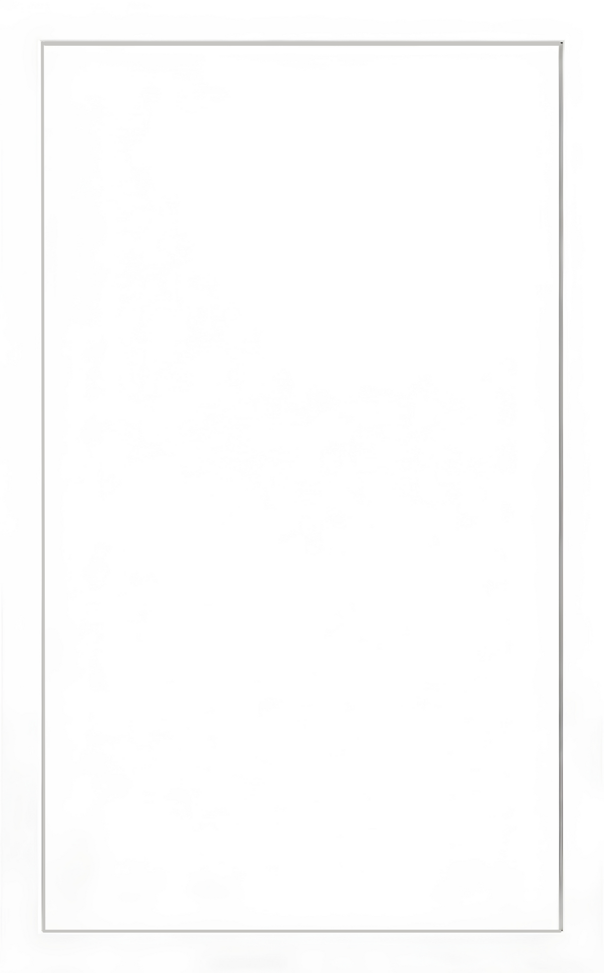 Slim Shaker cabinet door