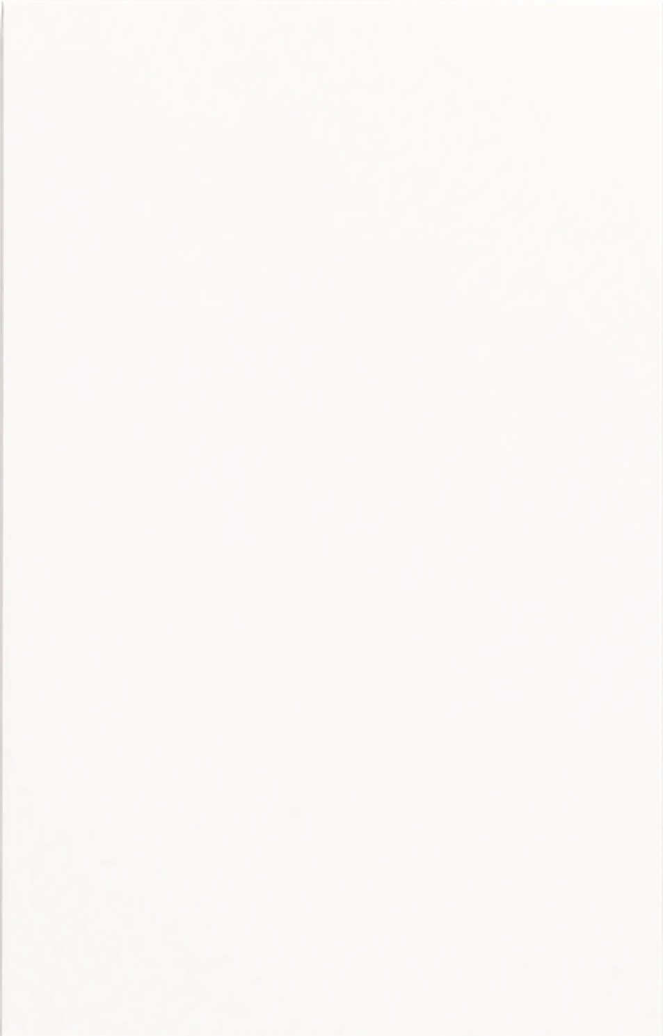 Solid Slab cabinet door